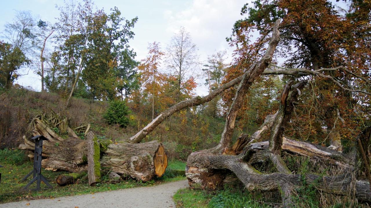 Palac Komierowo Sępólno Krajeńskie 외부 사진